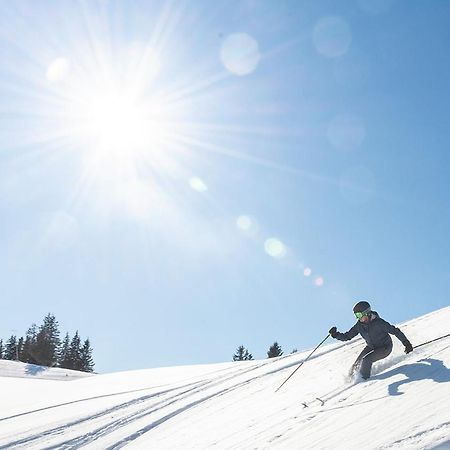 Wellness Pension Iveta Žacléř Exteriér fotografie