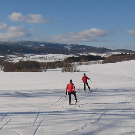 Wellness Pension Iveta Žacléř Exteriér fotografie