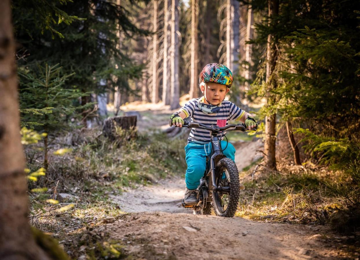 Wellness Pension Iveta Žacléř Exteriér fotografie