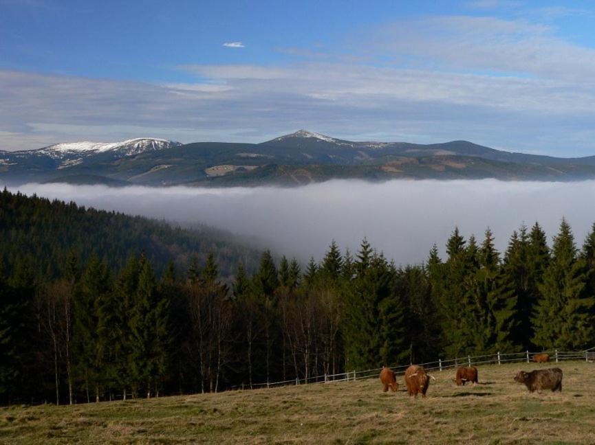 Wellness Pension Iveta Žacléř Exteriér fotografie