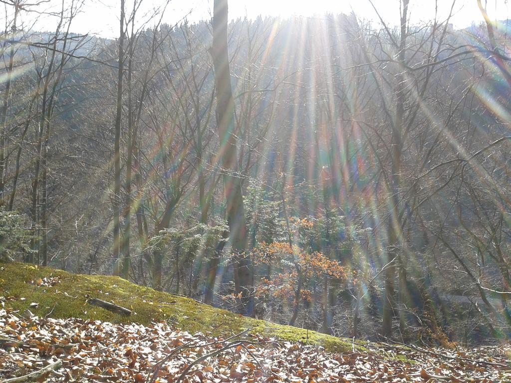 Wellness Pension Iveta Žacléř Exteriér fotografie