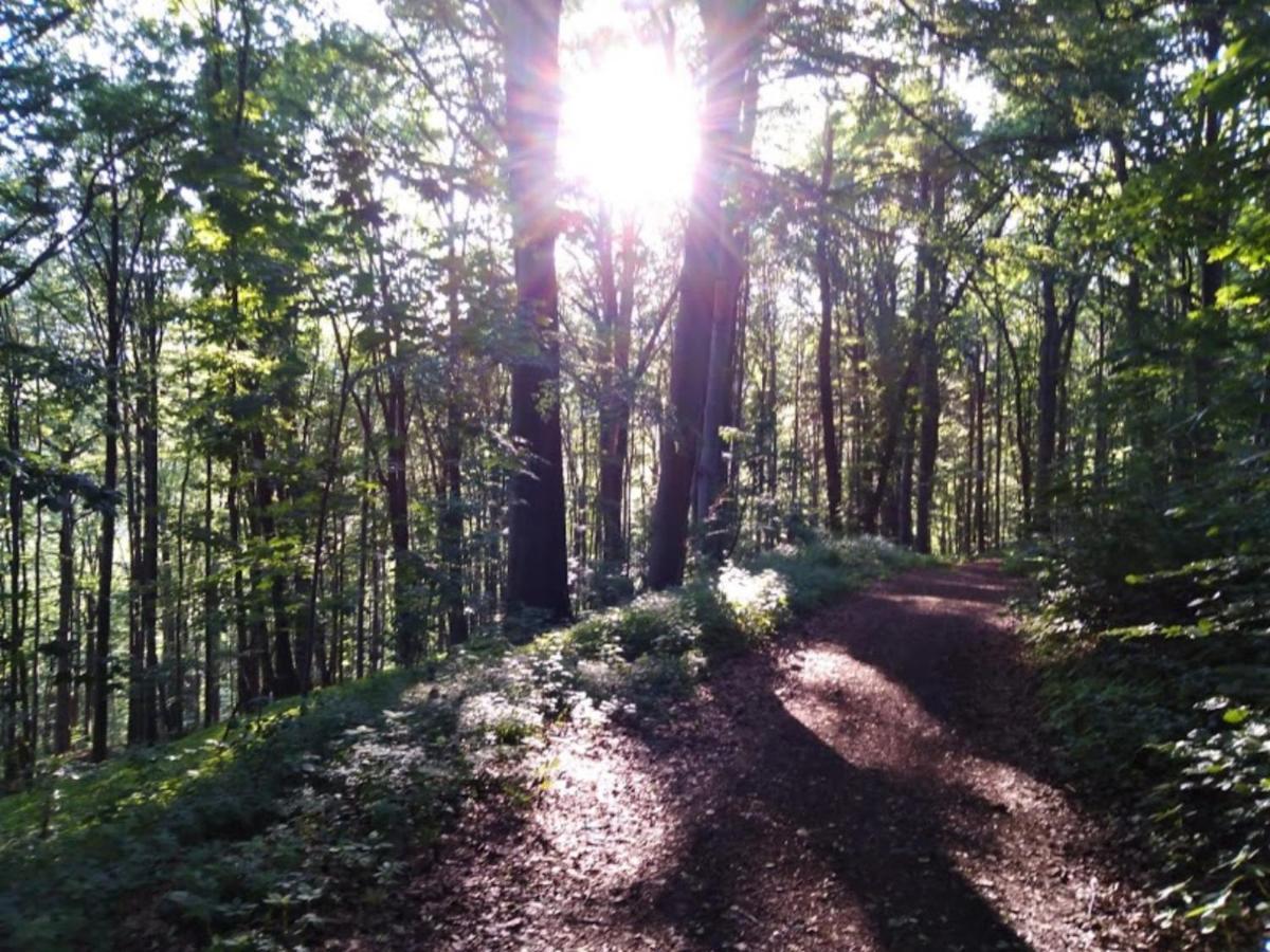 Wellness Pension Iveta Žacléř Exteriér fotografie